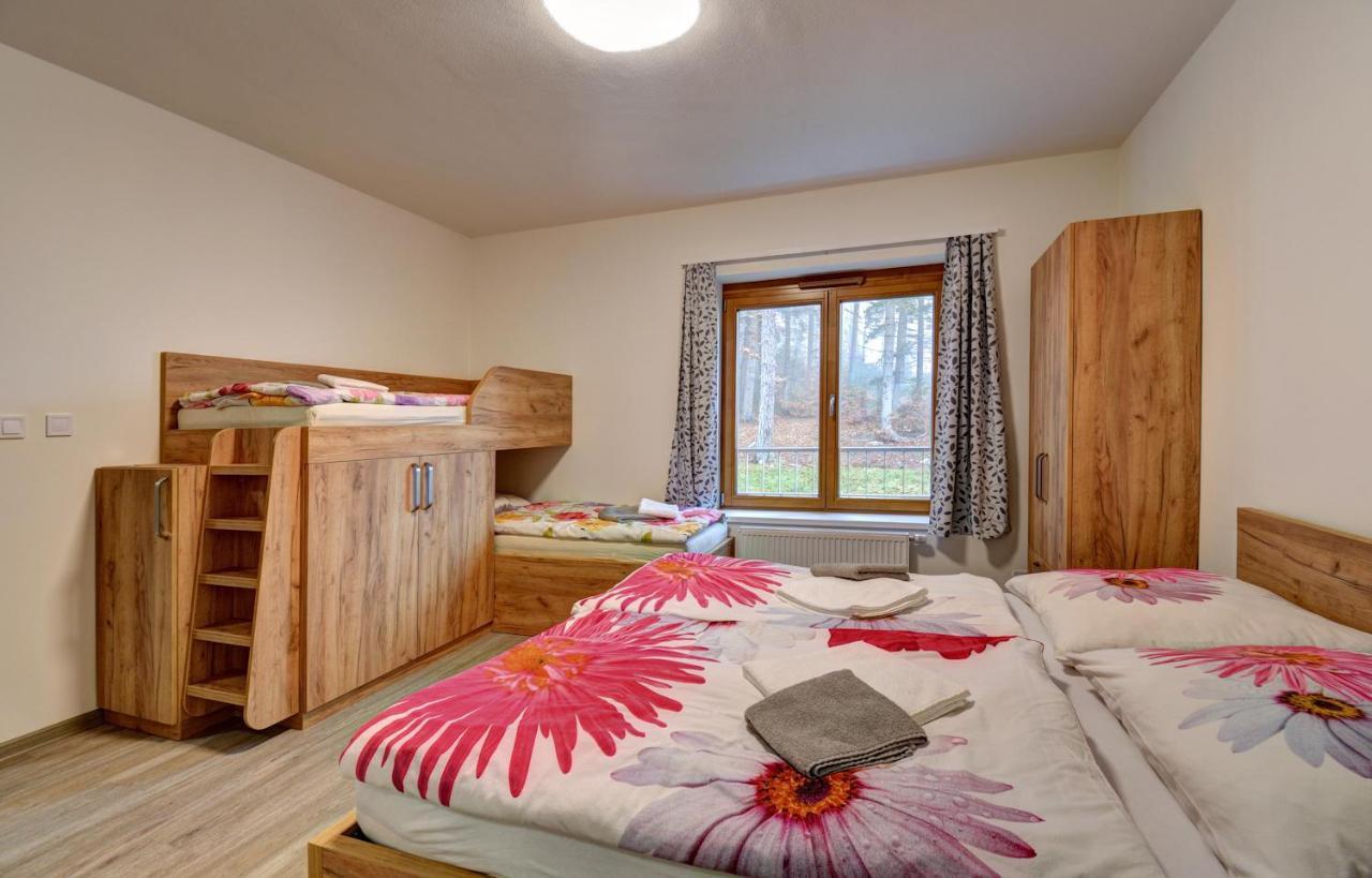 ליפנו נאד וויטאבו Apartmany Sunny Lipno מראה חיצוני תמונה
