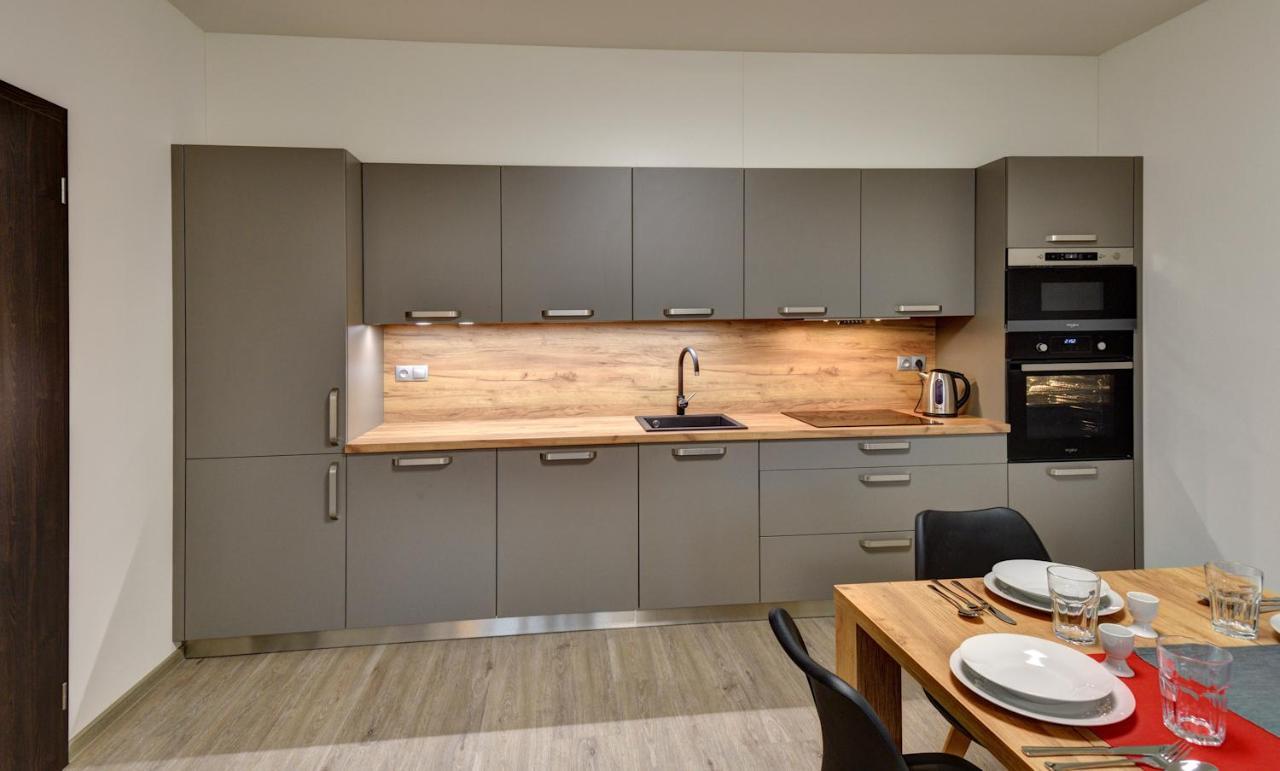 ליפנו נאד וויטאבו Apartmany Sunny Lipno מראה חיצוני תמונה