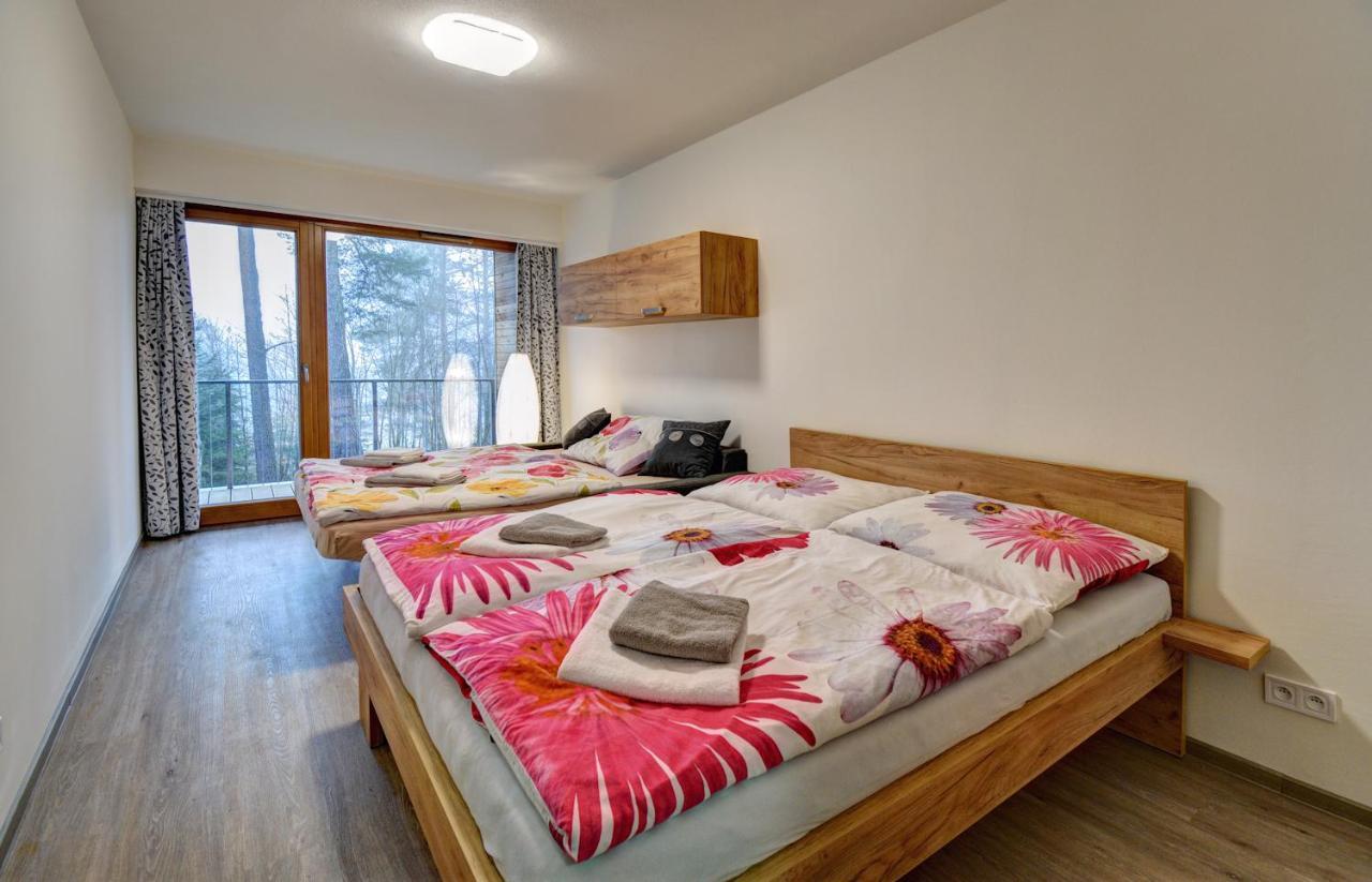 ליפנו נאד וויטאבו Apartmany Sunny Lipno מראה חיצוני תמונה